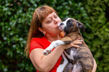 Bahçesinde küçük şirin bir boksör köpeği olan Beyaz Yaşlı Kafkas Kadın. Vancouver, British Columbia, Kanada 'da çekildi..