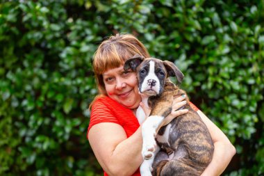 Bahçesinde küçük şirin bir boksör köpeği olan Beyaz Yaşlı Kafkas Kadın. Vancouver, British Columbia, Kanada 'da çekildi..