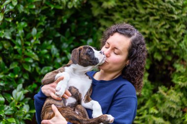 Bahçesinde küçük şirin bir boksör köpeği olan beyaz, beyaz, beyaz bir kadın. Vancouver, British Columbia, Kanada 'da çekildi..
