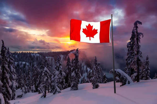 Canadese Natuur Landschap Bedekt Met Verse Witte Sneeuw Tijdens Kleurrijke — Stockfoto