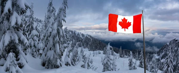Paisagem Natural Canadense Coberto Neve Branca Fresca Durante Pôr Sol — Fotografia de Stock