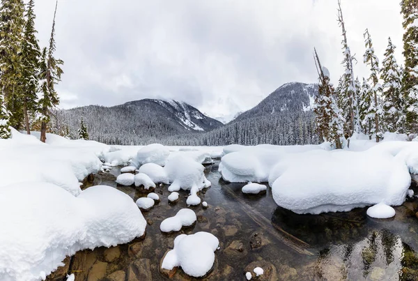 Bela Paisagem Montanhosa Canadense Vista White Puffy Snow Covered Joffre — Fotografia de Stock