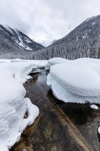 美しいカナダの山の風景白いパフィー雪の景色は 活気のある冬の日の間にJoffre湖を覆いました カナダ Bc州バンクーバーの北 ペンバートンの近くに位置 — ストック写真