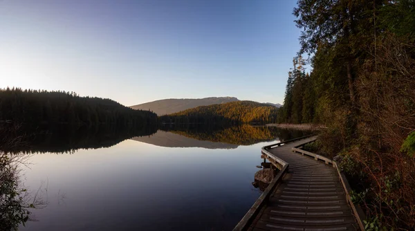 Piękny Żywy Szlak Green Woods Świeżymi Drzewami Pobliżu Jeziora Podczas — Zdjęcie stockowe