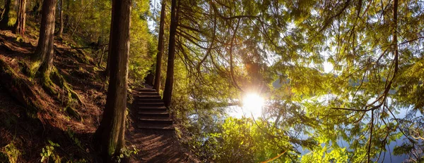 Hermoso Vibrante Sendero Bosque Verde Con Árboles Frescos Cerca Lago — Foto de Stock