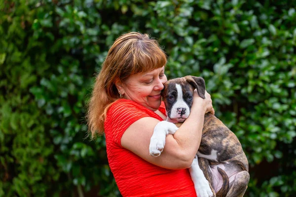 White Elder Caucasian Woman with a small cute Boxer Puppy outside in the garden. Taken in Vancouver, British Columbia, Canada.