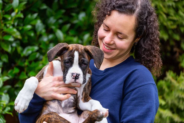 Bahçesinde küçük şirin bir boksör köpeği olan beyaz, beyaz, beyaz bir kadın. Vancouver, British Columbia, Kanada 'da çekildi..