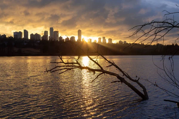 Burnaby Velká Vancouver Britská Kolumbie Kanada Krásný Výhled Jezero Jelena — Stock fotografie