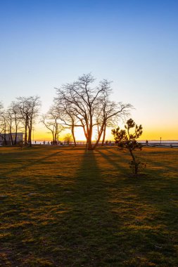 Pasifik Okyanusu kıyısındaki güzel bir park manzarası, Blackie Spit, canlı güneşli kış günbatımında. White Rock, Vancouver, British Columbia, Kanada 'da yer almaktadır..