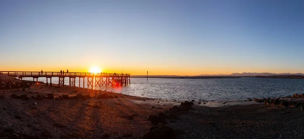 Prachtig Panoramisch Uitzicht Een Park Aan Kust Van Stille Oceaan — Stockfoto