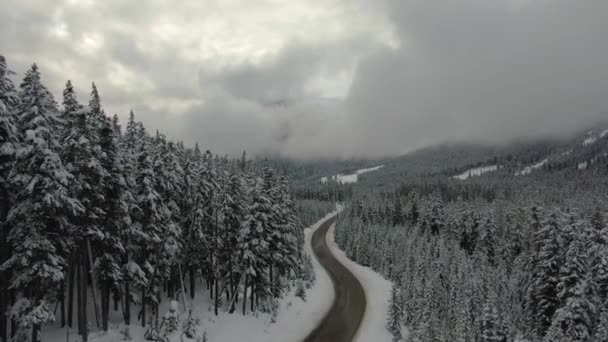 Vue Aérienne De L'autoroute Scénique Dans Les Montagnes — Video