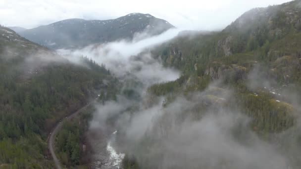 Αεροφωτογραφία drone του καναδικού τοπίου της φύσης — Αρχείο Βίντεο