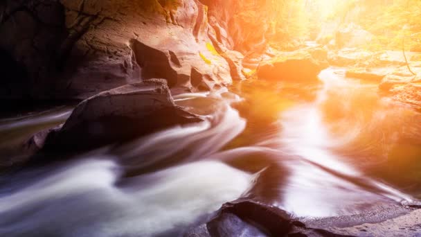 Cinemagraph Continu Loop Animatie van mooie rivier in een grot — Stockvideo