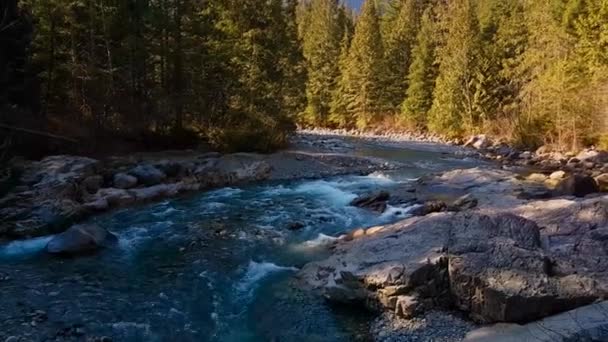 Hermosa vista del río en el paisaje de montaña canadiense — Vídeos de Stock