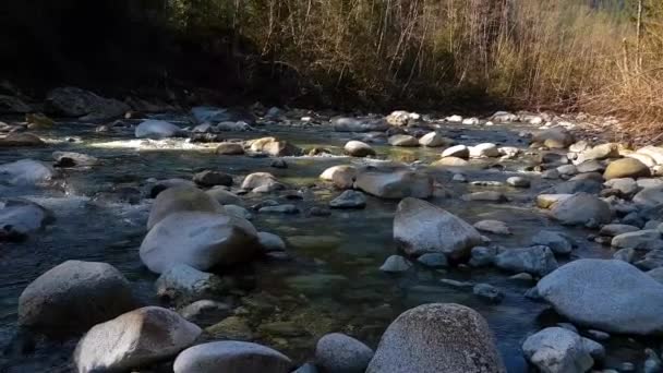 Schöne Aussicht auf den Fluss in der kanadischen Berglandschaft — Stockvideo