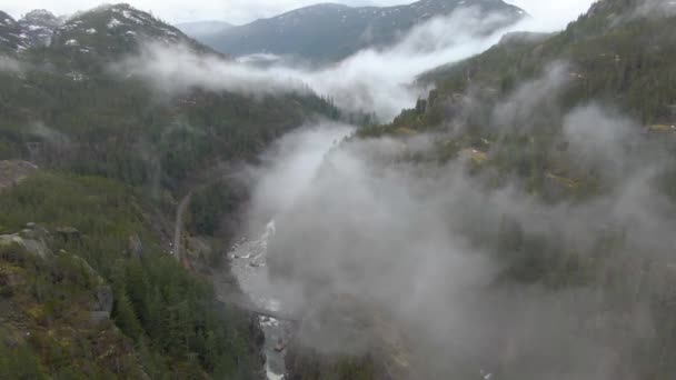 Luchtdrone uitzicht op het Canadese natuurlandschap — Stockvideo