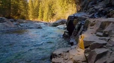 Kanada Dağ Manzarası 'ndaki nehrin güzel manzarası