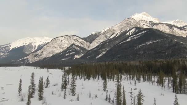 カナダの山の風景の美しい空中ドローンビュー — ストック動画