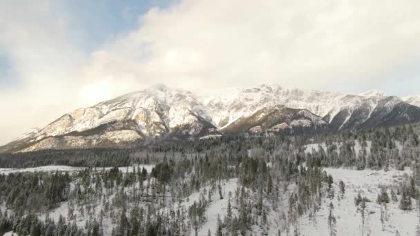 Vista aérea bonita do drone da paisagem canadense da montanha — Vídeo de Stock