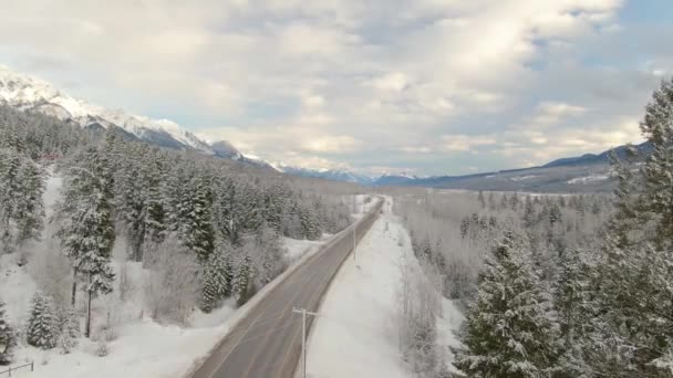 Beau Drone Vue Aérienne D'une Route Dans Le Paysage Canadien De Montagne — Video