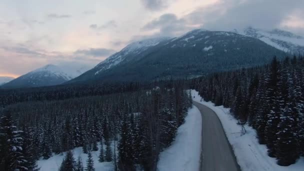 Veduta aerea di una strada panoramica nel paesaggio montano canadese — Video Stock