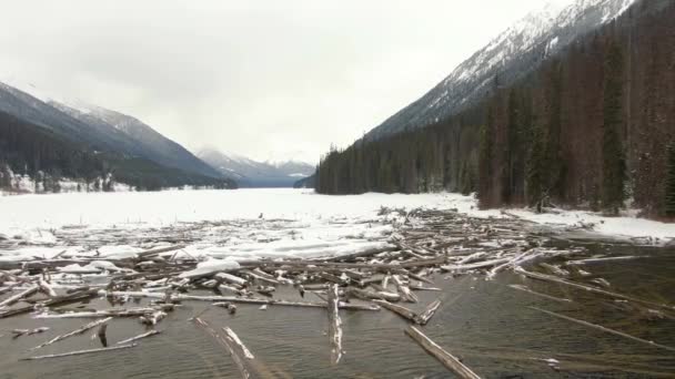 Hermosa vista aérea de madera de deriva junto al lago congelado — Vídeos de Stock