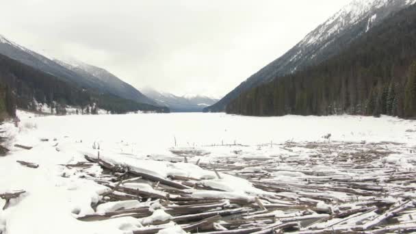 Beautiful Aerial View of Drift Wood by the frozen lake — Stock Video
