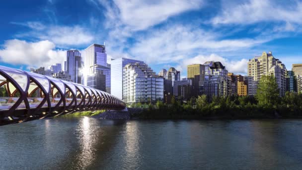 Cinemagraph Animación en bucle continuo de una ciudad moderna, Calgary — Vídeo de stock