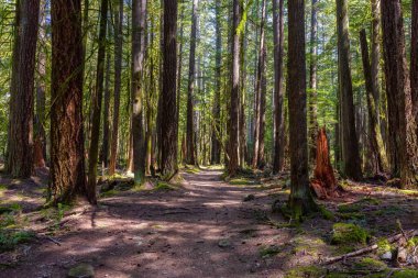 Squamish, Vancouver yakınlarında, British Columbia, Kanada