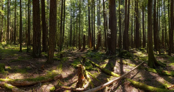 Squamish, cerca de Vancouver, Columbia Británica, Canadá — Foto de Stock