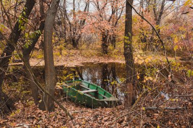 terk edilmiş tekne ormanın içinde göle