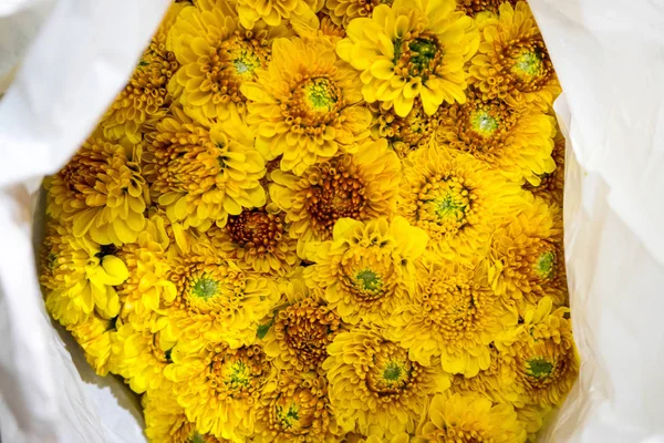 Sarı gerbera çiçek
