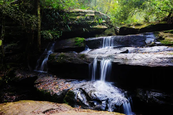 Ulusal parkta tropikal alan Şelalesi
