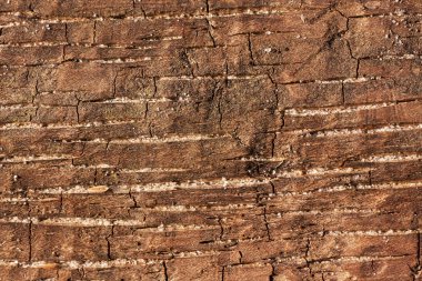 tahta parçasını lekeler kum ile