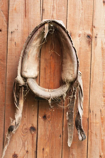 Pendurado chicote de cavalos velho 1 — Fotografia de Stock
