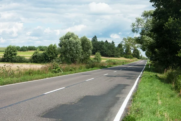 Droga asfaltowa i drzew — Zdjęcie stockowe