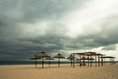 Sahilde saman şemsiyeleri