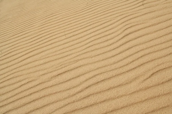 Golden sand på stranden 10 — Stockfoto