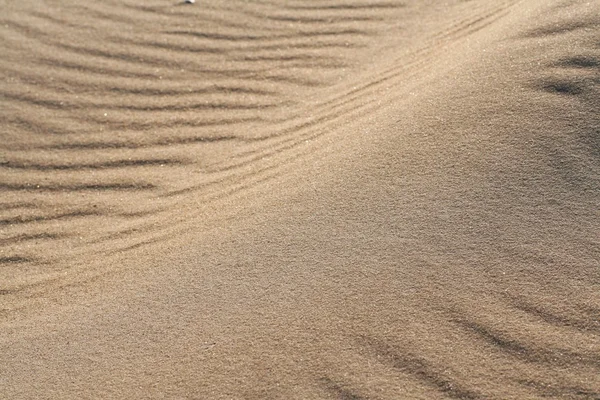 Sable doré sur la plage 14 — Photo