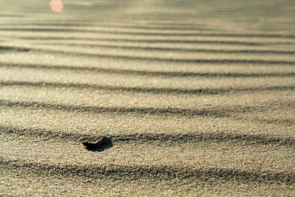 Golden sand on the beach 4 — Stock Photo, Image