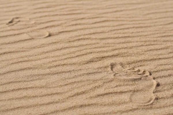 A homok 4 emberi láb — Stock Fotó