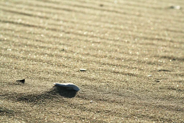 Золотой песок на пляже 2 — стоковое фото