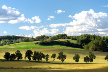 Mazury ağaç çizgili yol