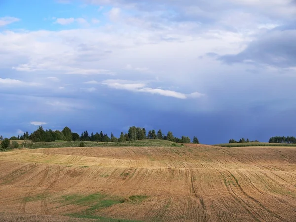 karanlık, fırtınalı gökyüzü ve alan 1