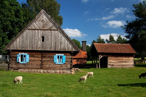 Mavi pencere ve koyun ile ahşap ev Stok Fotoğraf
