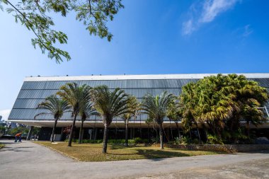 Ibirapuera Parkı içinde bina yakınındaki palmiye ağaçları 