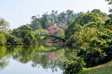 Ibirapuera Parkı içinde güzel göl