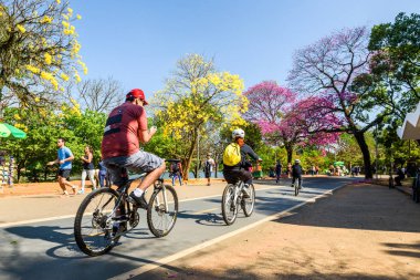 Ibirapuera Parkı dinlenme insanlar