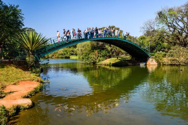 Güzel göl ve köprü Ibirapuera Park