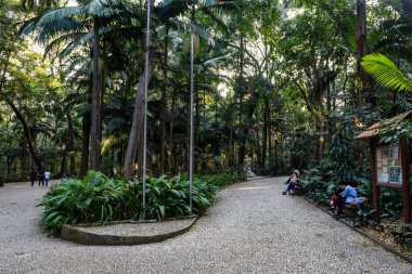 Parque Trianon on Avenida Paulista in Brasil  